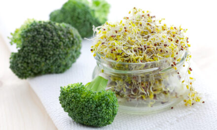 Eet Nou Gewoon Die Broccoli!