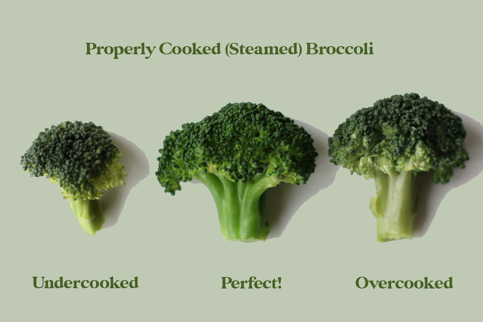 properly cooked broccoli