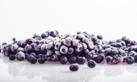 Blauwe Bessen uit de diepvries net zo gezond!
